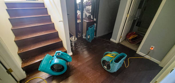 Best 24/7 water damage repair  in Worthgton, IN