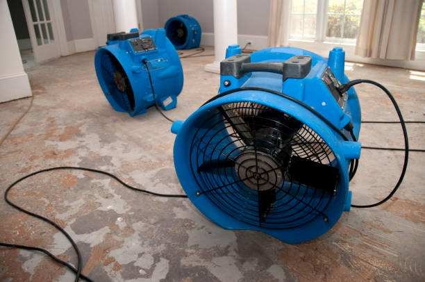 Trusted Worthington, IN Water damage restoration Experts