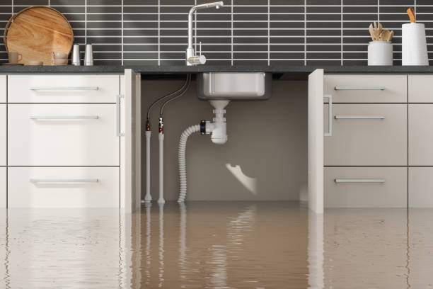 Best Water damage restoration specialists  in Worthgton, IN