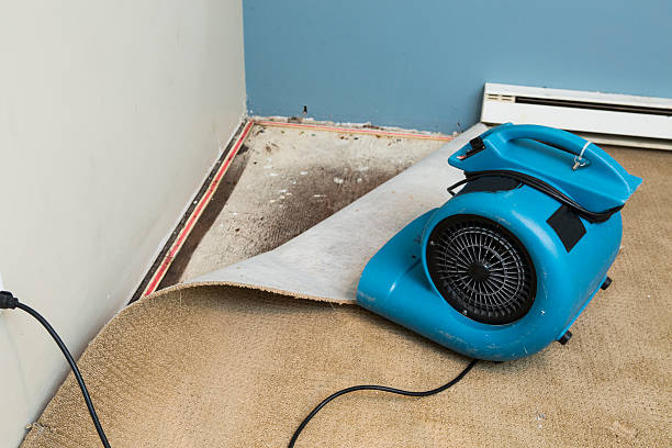 Best Flood damage cleanup  in Worthgton, IN